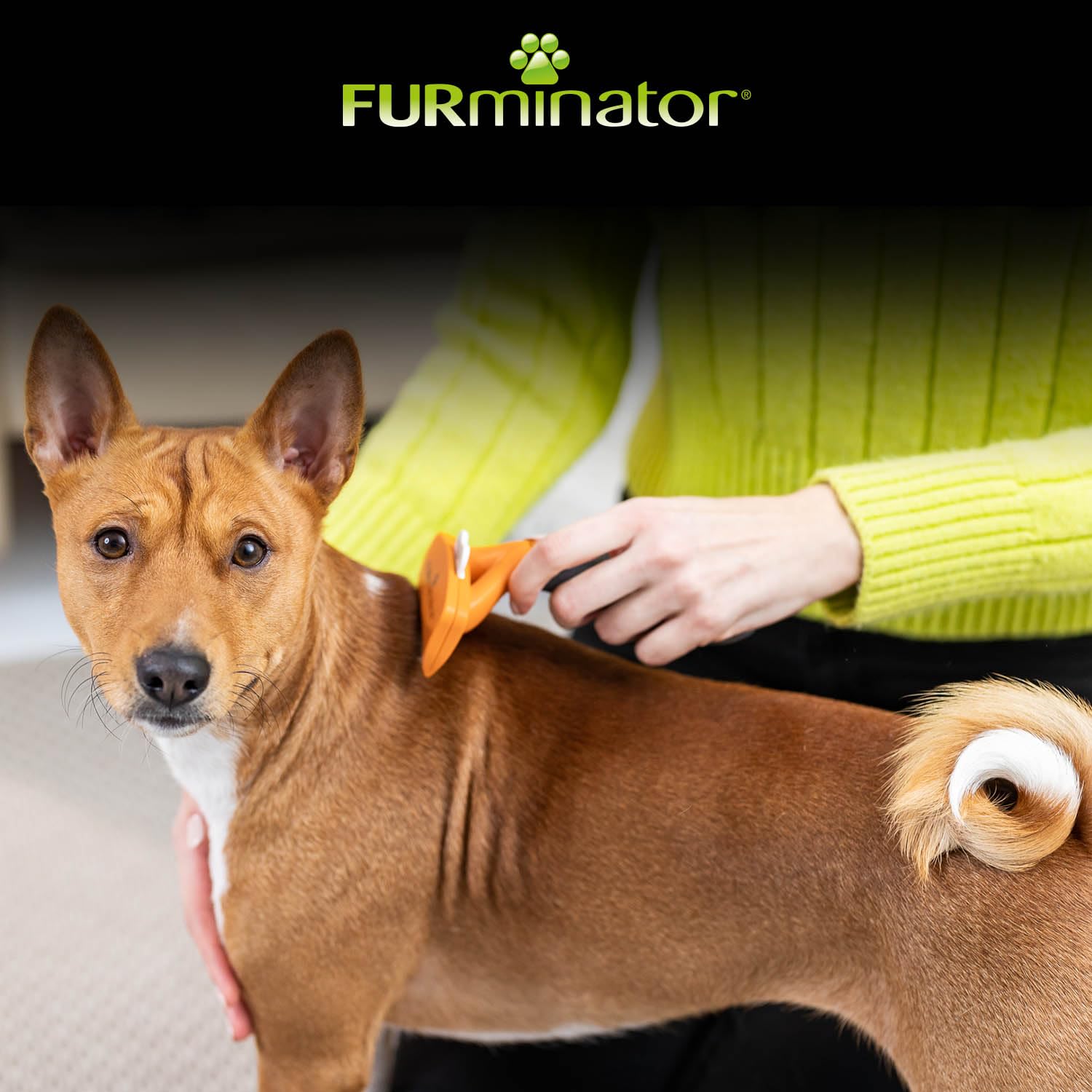 FURminator deShedding-Tool Hund Größe M Kurzhaar - Hundebürste für mittelgroße Hunde zur Entfernung der Unterwolle