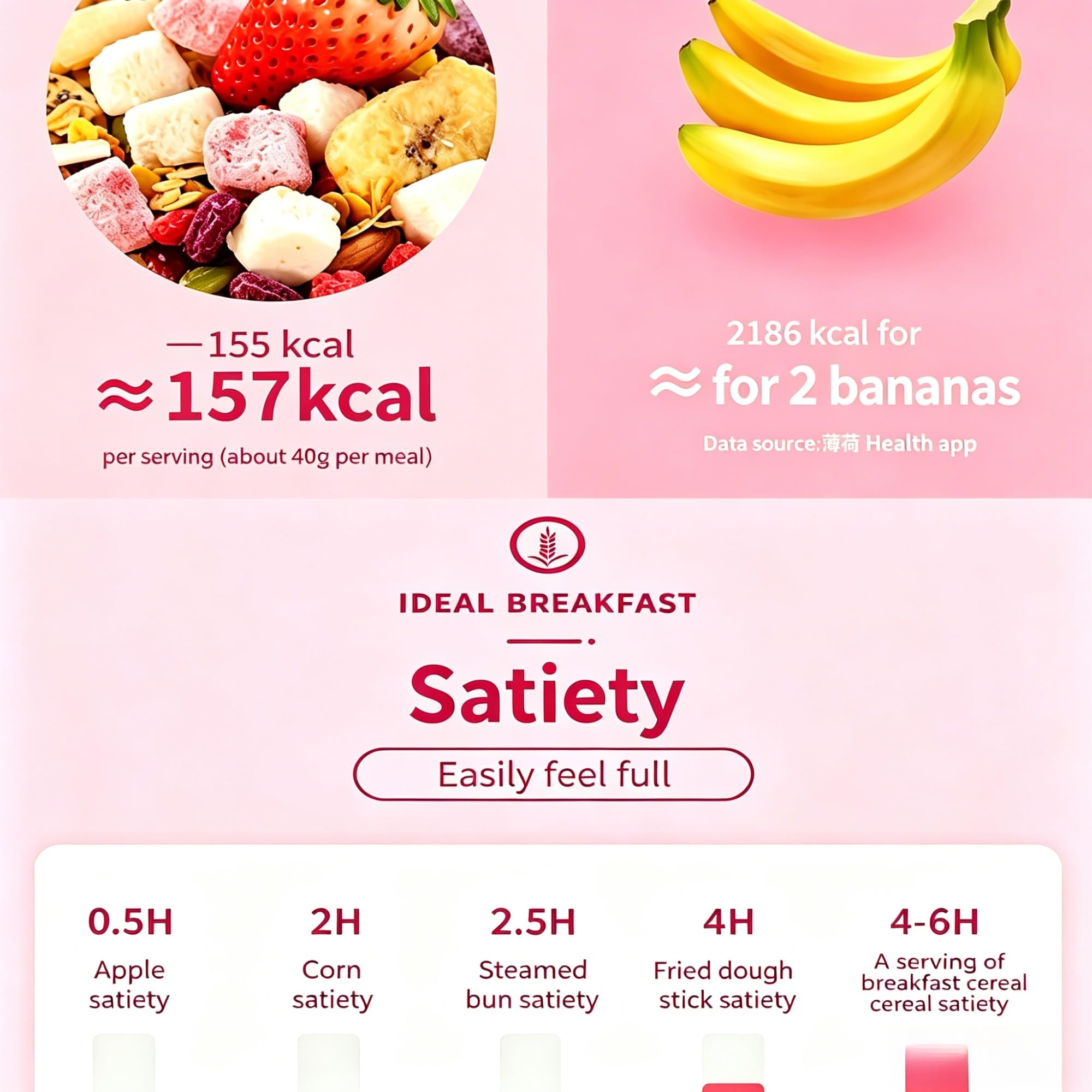 Cereal de yogur con semillas de chía: avena mezclada con trozos de fruta y bocadillos integrales(3pcs)