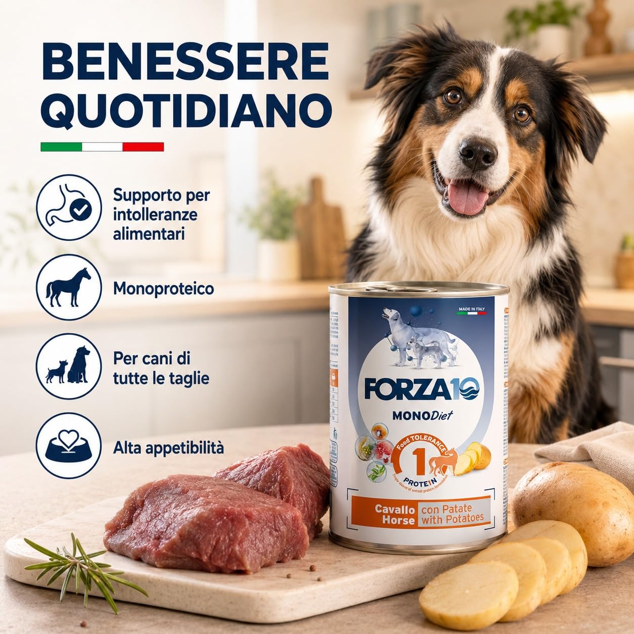 Cavallo con Patate – Forza10 Diet Cibo Umido per Cani Adulti di tutte le Taglie e Razze, Monoproteico, Intolleranze alimentari 12 Lattine x 400g, Alimento Completo.