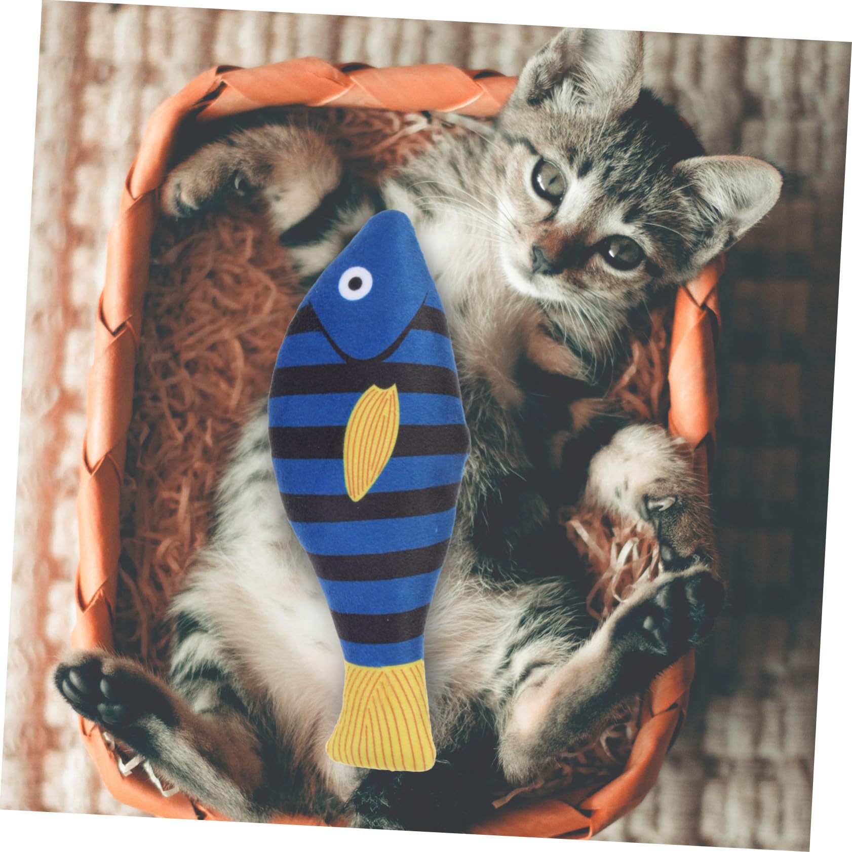 KOMBIUDA Herbe à Chat Naturelle Facile à Jouer et Résistant aux Morsures Jouet en Peluche de Poisson Jouet à Mâcher pour Chats D'intérieur