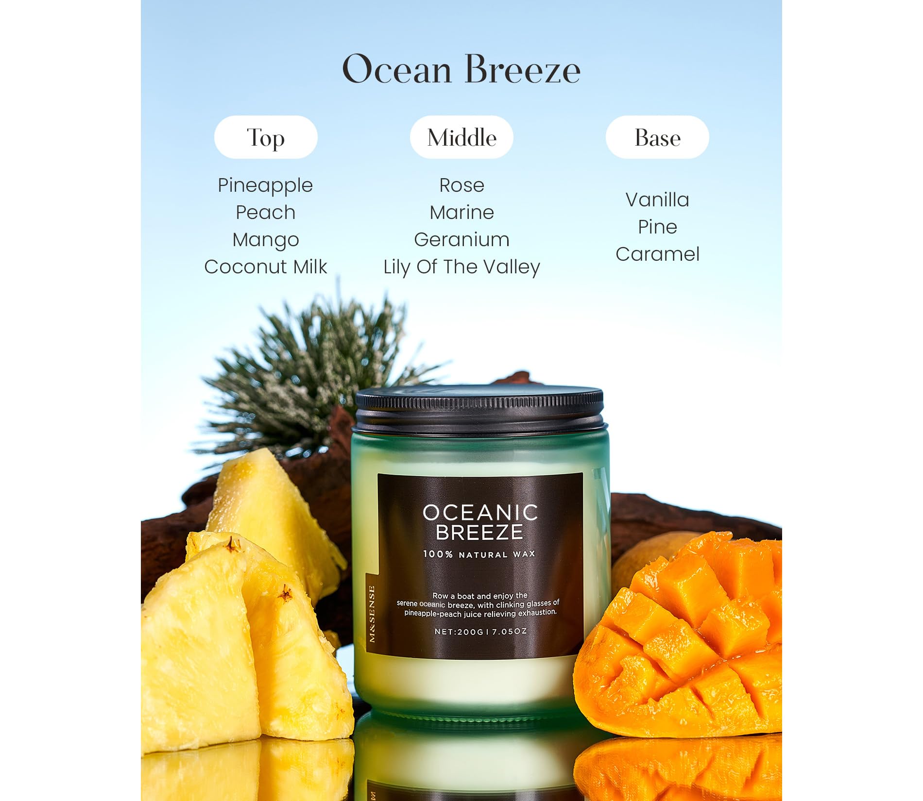 M&SENSE Ocean Breeze Organic Soy Scented Candles Gifts for Women & Men Non Toxic 200g 50H Burn Time Candles for Home Decor Small Jar Clear Burning Candle for Summer Evening Relaxation Stress Relief - Image 2