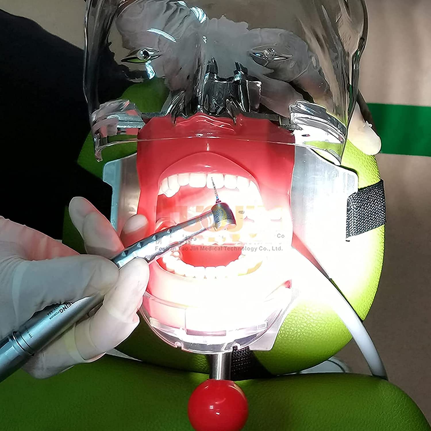 Narzędzia Do Nauczania Modeli, Model Dentystyczny, Model Zęba, Symulator Stomatologiczny, Fantomowy Model Głowy Szczęki Górnej I Dolnej Z Treningiem, Fantomowy