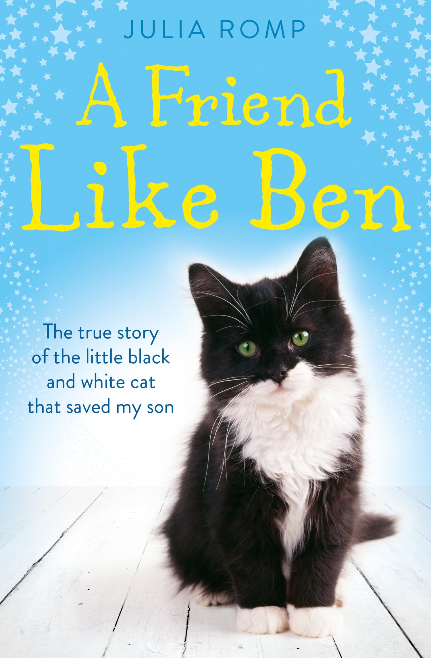 A FRIEND LIKE BEN: The true story of the little black and white cat that saved my son