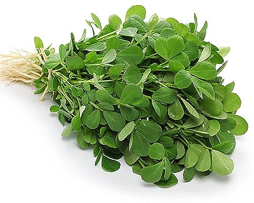 Semillas de fenogreco