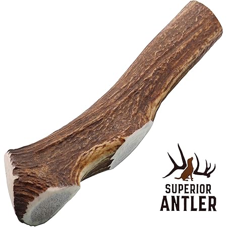 elk antler chews
