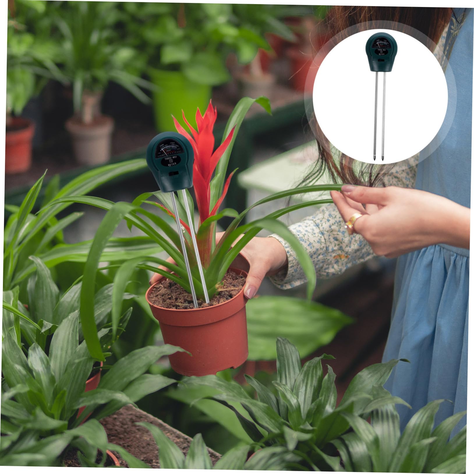 Sosoport 4 Pz rilevatore di suolo terriccio misuratore di umidità del suolo metro del suolo terreno succulento luce di umidità e misuratore di ph kit per tester del suolo plastica Green
