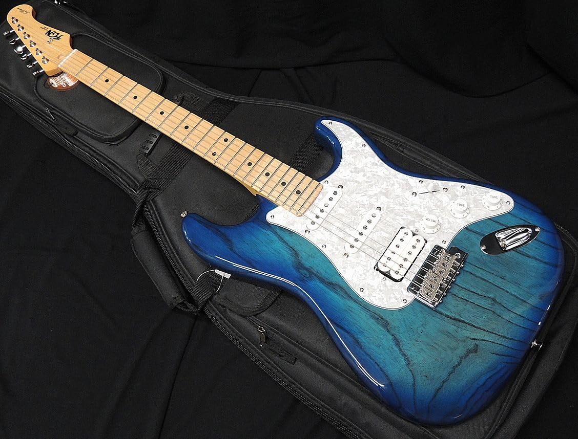 ギター FGN FUJIGEN NST11MAHL SBB 71ENyPRxTrL._AC_UF350,