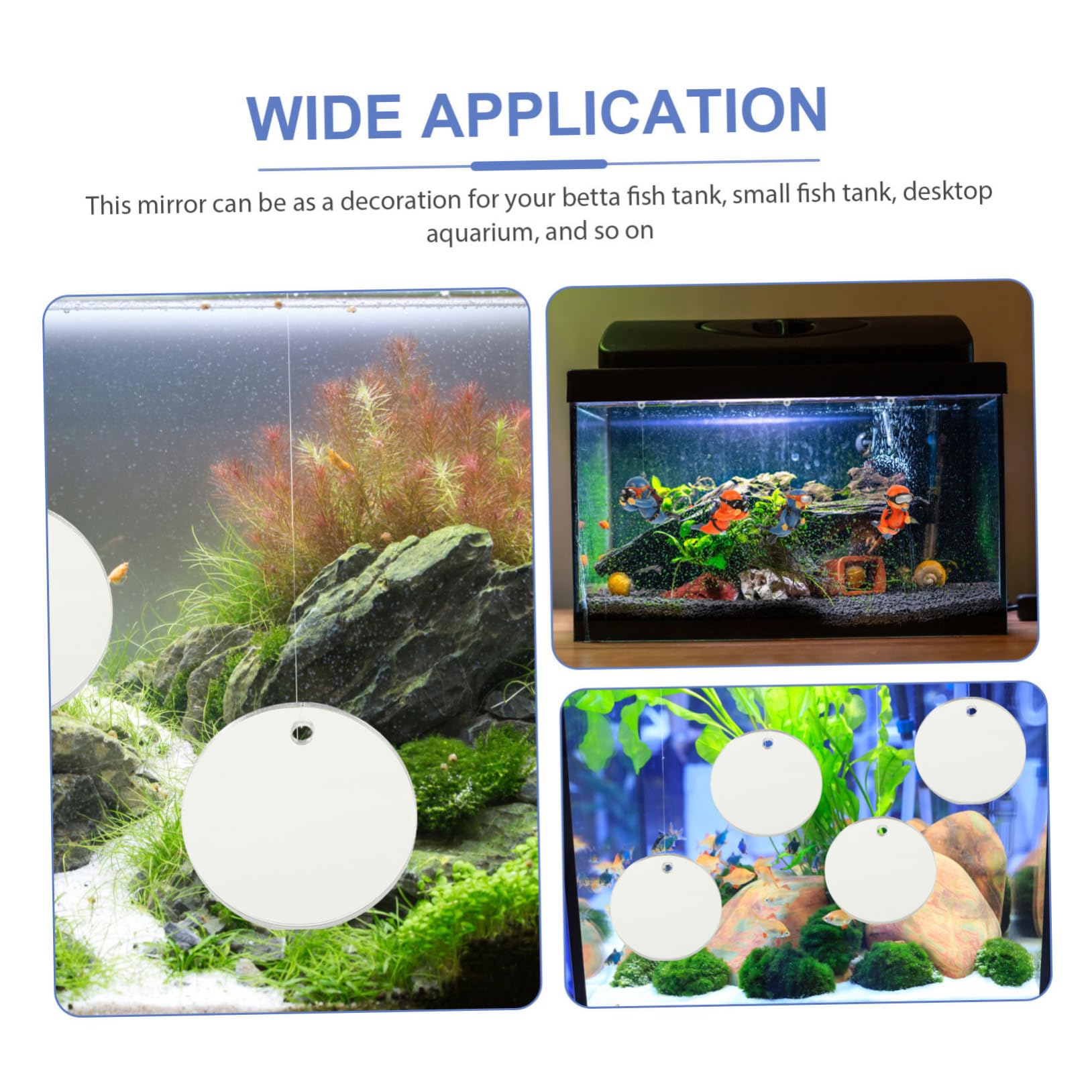 BESPORTBLE 20piezas Espejos para Acuarios De Betta Espejos Flotantes Redondos De Accesorios para Peceras Decoración para Acuarios De Agua Dulce y Salada