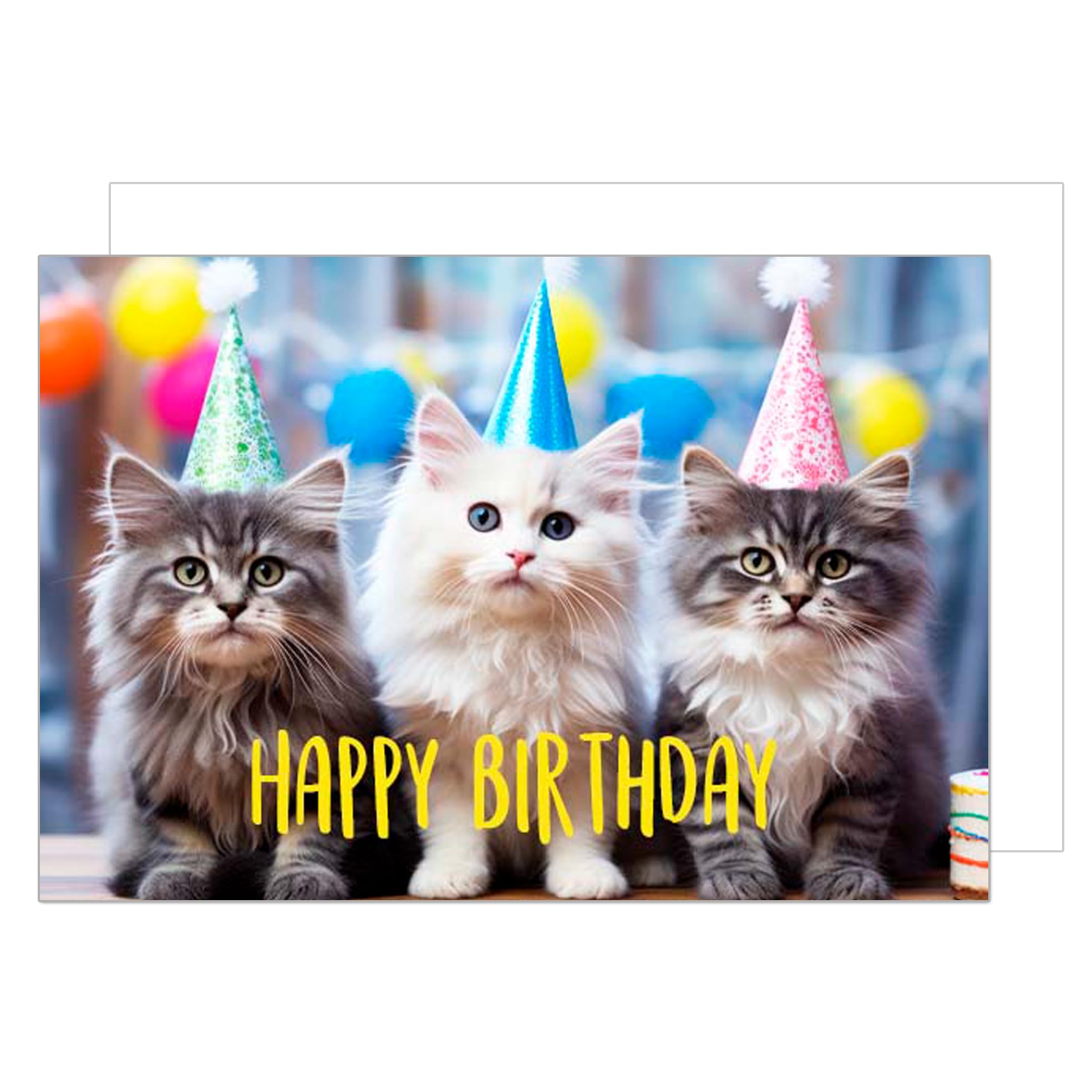 Biglietto Auguri Compleanno XXL Formato DIN A4 Con Busta - Design Gatti Simpatici Per Uomo, Donna, Ragazzi
