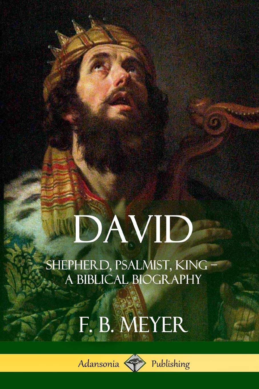 David: Shepherd, Psalmist, King – A Biblical Biography