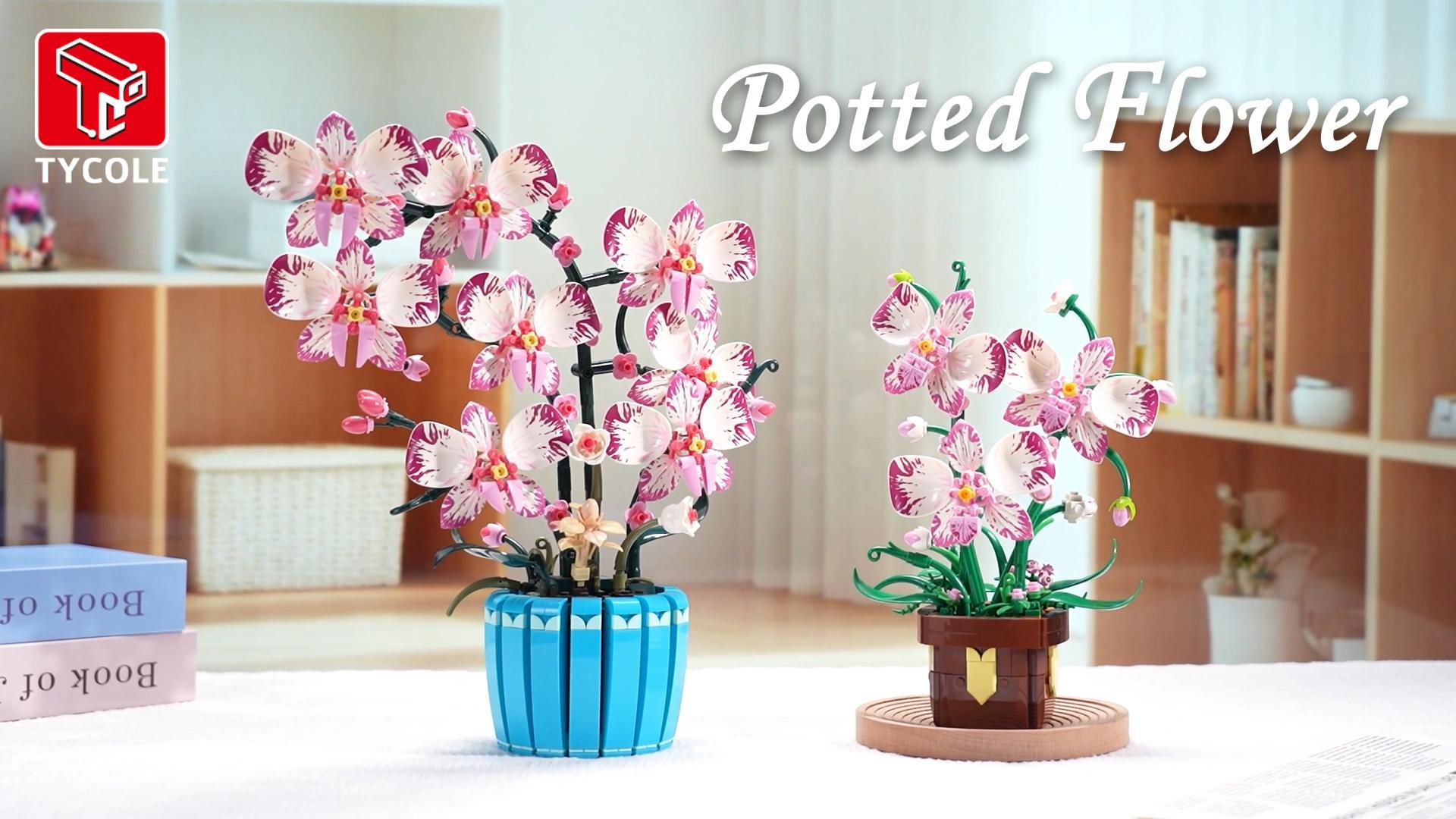 Amazon.com: EITOLNR Pink Orchid Flowers Building Set for Adults