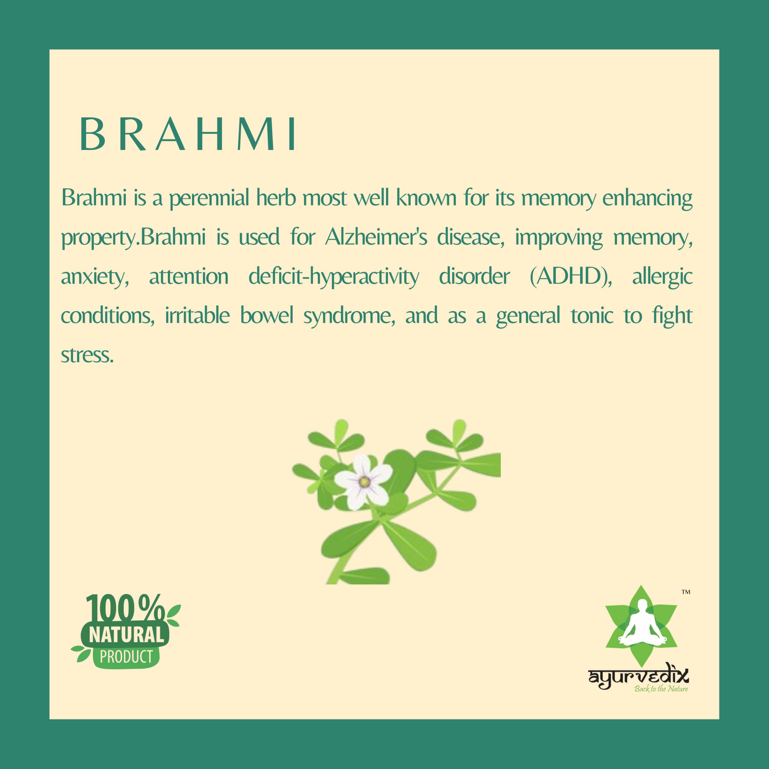 Brahmi Ark | Distillat de Bacopa Monnieri | Favorise le bien-être de l'esprit, améliore la vigilance | Potion entièrement naturelle | Clarté mentale | Soulagement du stress | Supplément à