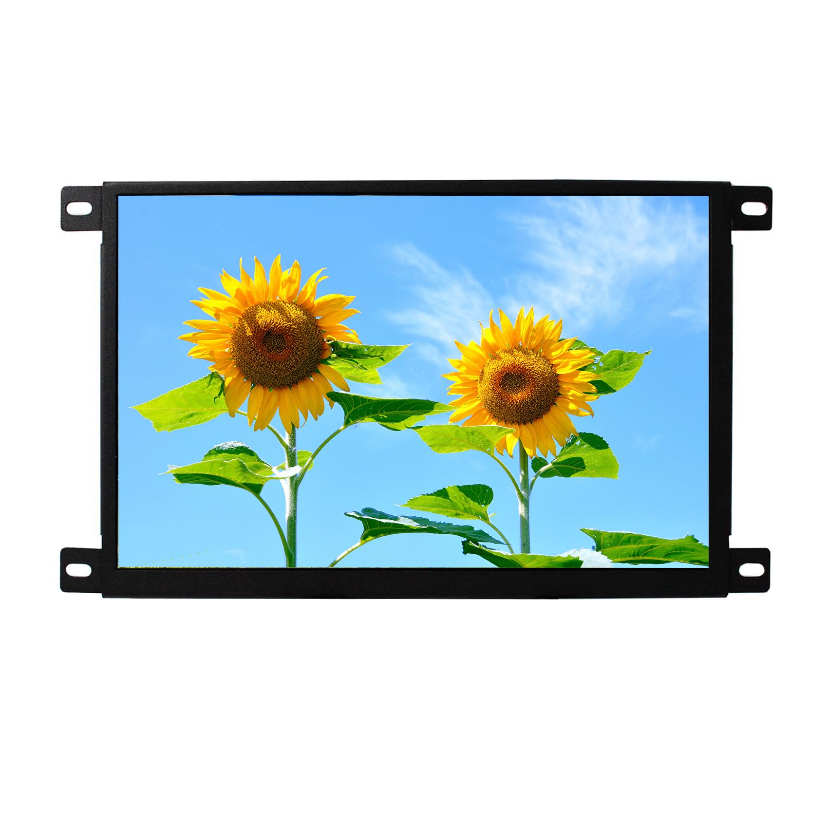 VSDISPLAY 10,1 pollici 1280x800 IPS piccolo schermo LCD 1000 pidocchi pannello di visualizzazione ad alta luminosità con cassa del metallo, supporta l'ingresso video USB
