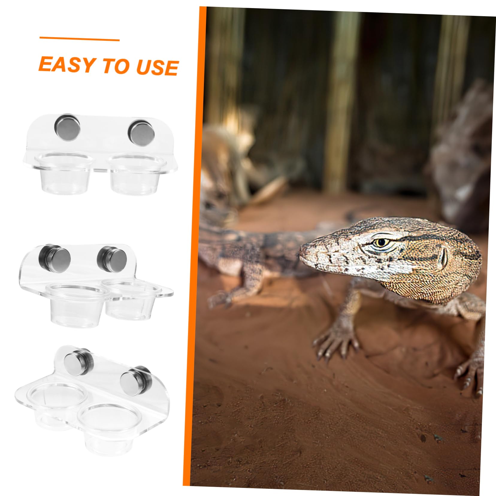 Yardwe 5 Juegos De Alimentador De Agua Magnético Terrario para Animales Alimentador De Gecko Repisa De Alimentación para Gecko Cuenco De Alimentación para Reptiles Recipientes para