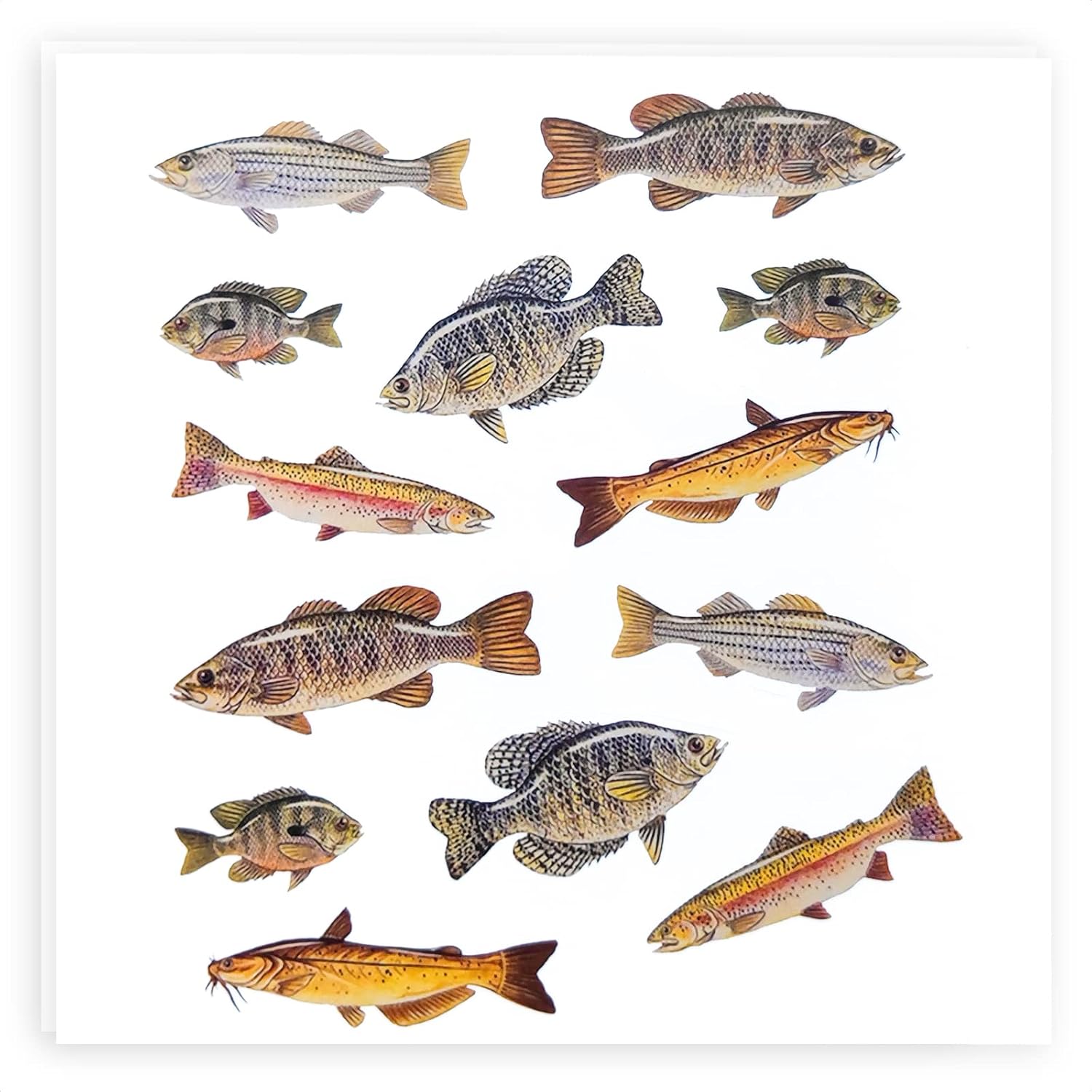 Fish Stickers for Kids Sticker Pack 2 Sheets Fish