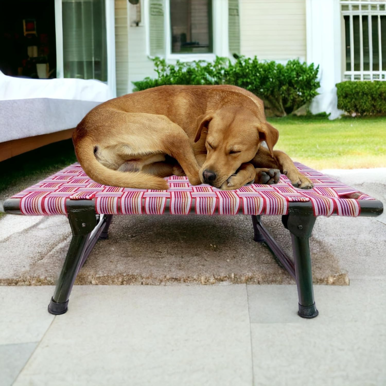 ROYALS RORE Leg Folding Pet Dog Bed Strong Quality Iron Frame With Strips Outdoor Indoor Use Size 36X24X8 Inches-Multicolor