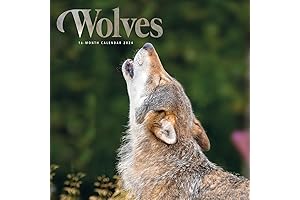 2024 Wolf Wall Calendar: A Majestic Journey Through the Wilderness