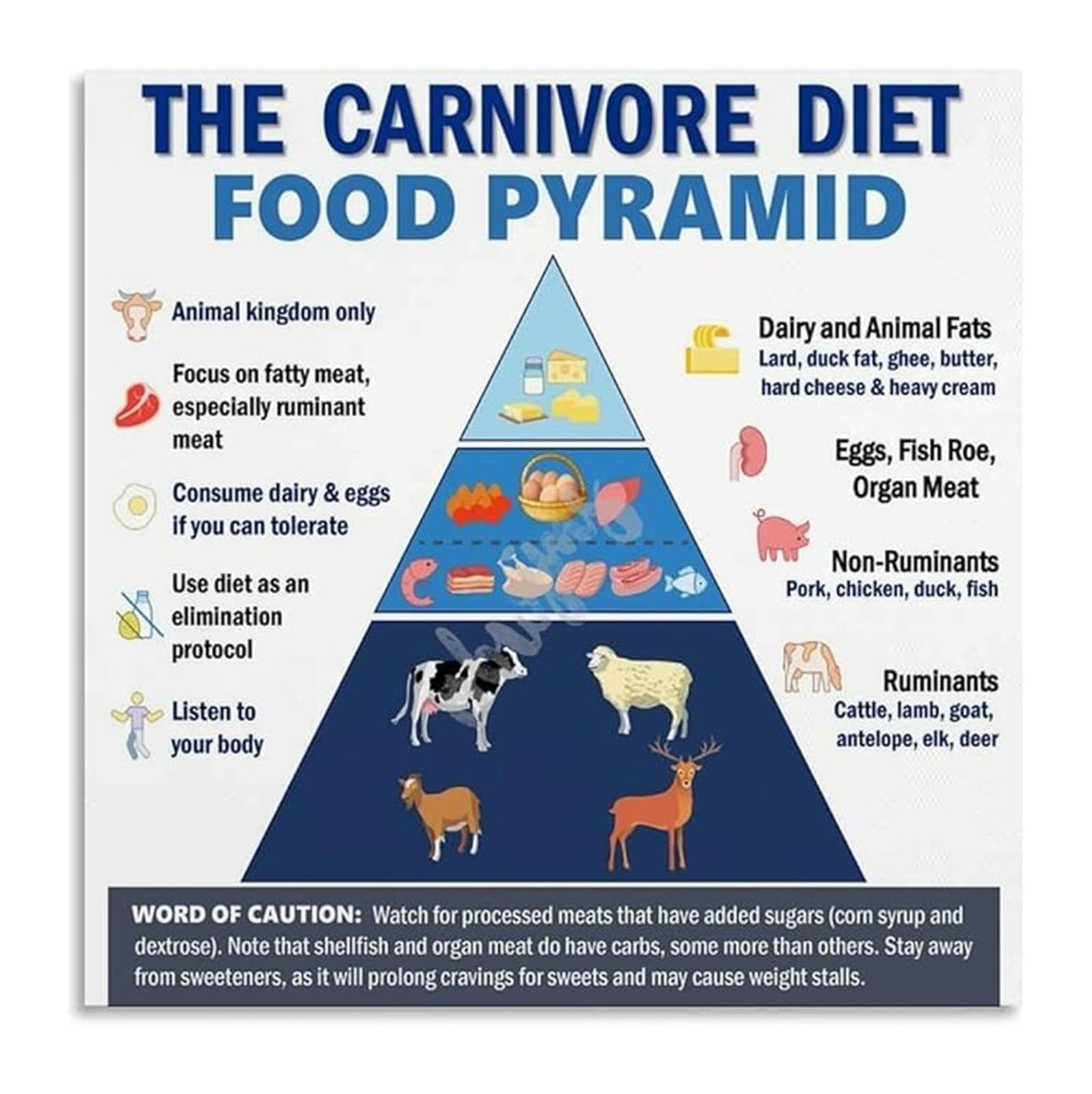 FOPURE Carnivore Diet Chart Healthy Food List Pyramid Poster Nutritional Guide for Kitchen Decor Nutritionist Office Wellness Poster(Framed,08x12inch(20x30cm))