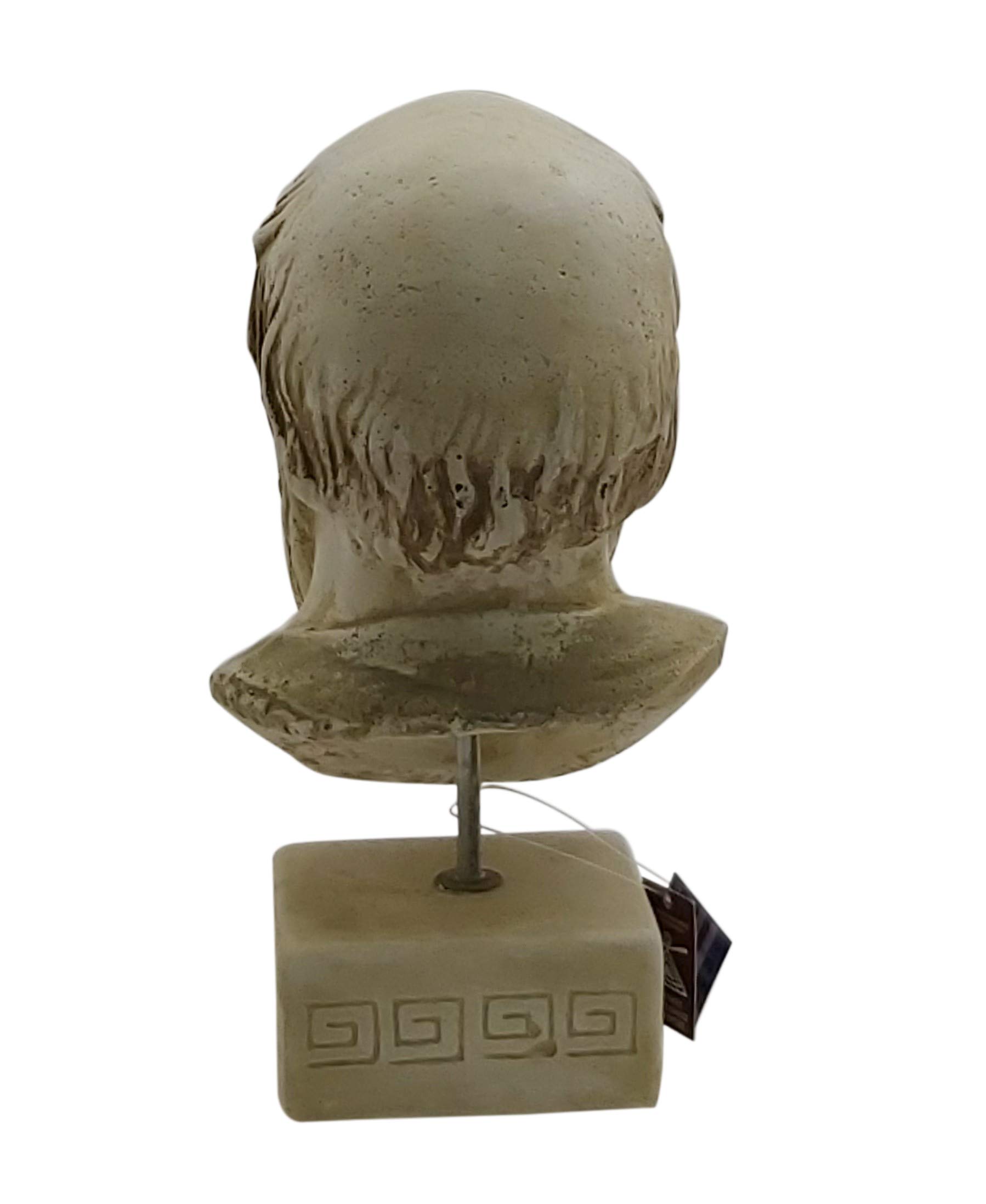 Sócrates Antiguo Filósofo Griego Busto Cabeza Escultura Piedra de Fundición