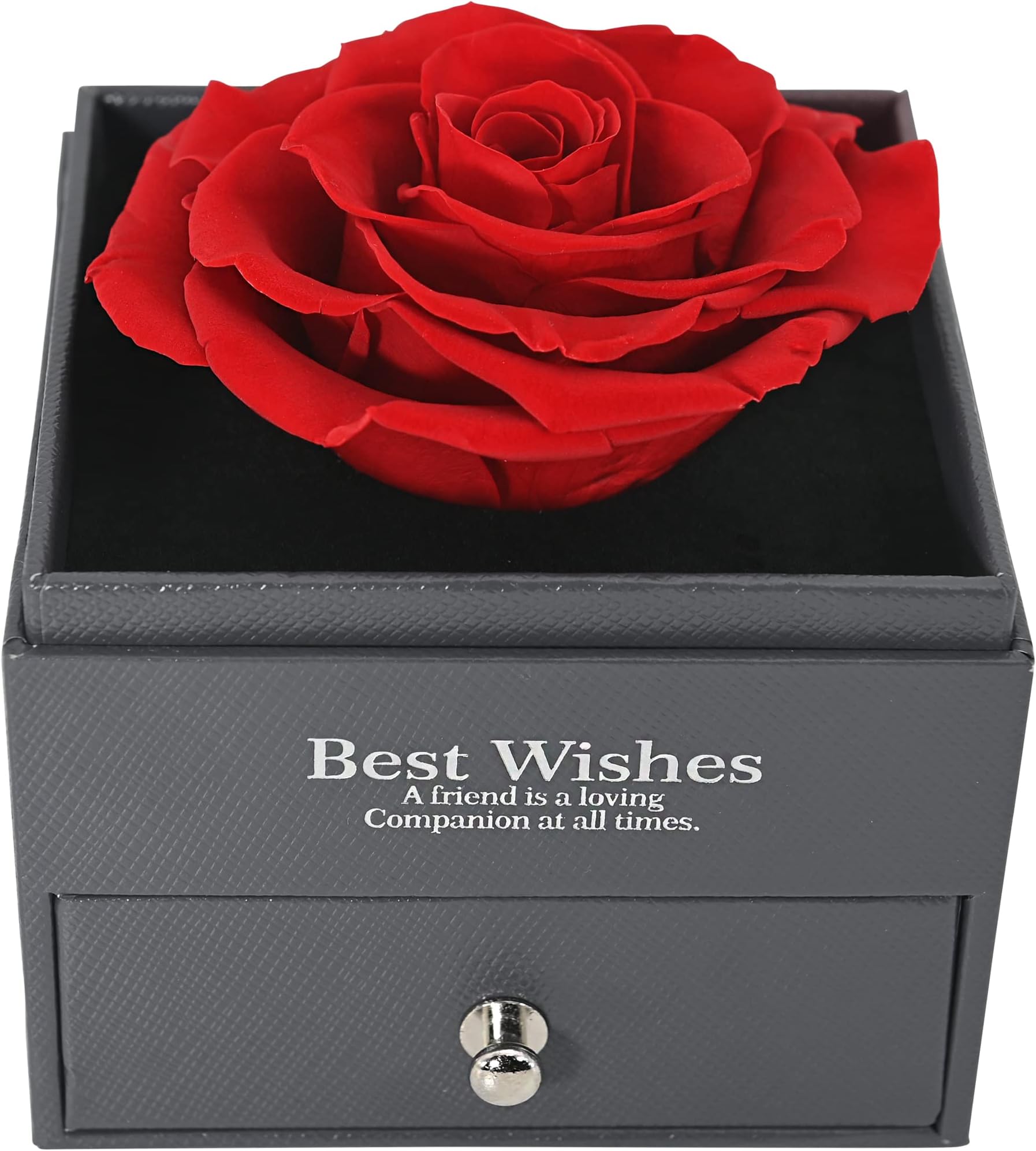 GLAMOUR BOUTIQUEPreserved Rose in a Box with I Love You Necklace in 100 Languages - Enchanted Flower Jewelry Gift Set, Silver, No Gemstone