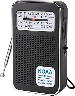 4 Bands AM FM SW WB Pocket Radio with Rechargeable Battery, Portable Battery Operated Transistor Radios, NOAA Weather Emergency Radio, DSP Chip Excellent Reception & Earphone Jack (2 Power Source)