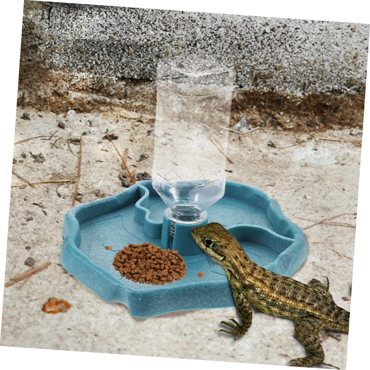 ORFOFE Distributore Automatico D’Acqua 2 Pezzi, Facile da Pulire, Ciotola in ABS, per Rettili e Uccelli, per Tartarughe e Lucertole | Facile da Pulire, Contiene Cibo e Acqua, per Riccio e Piccoli Animali, Ciotola Pratica per Uso Quotidiano
