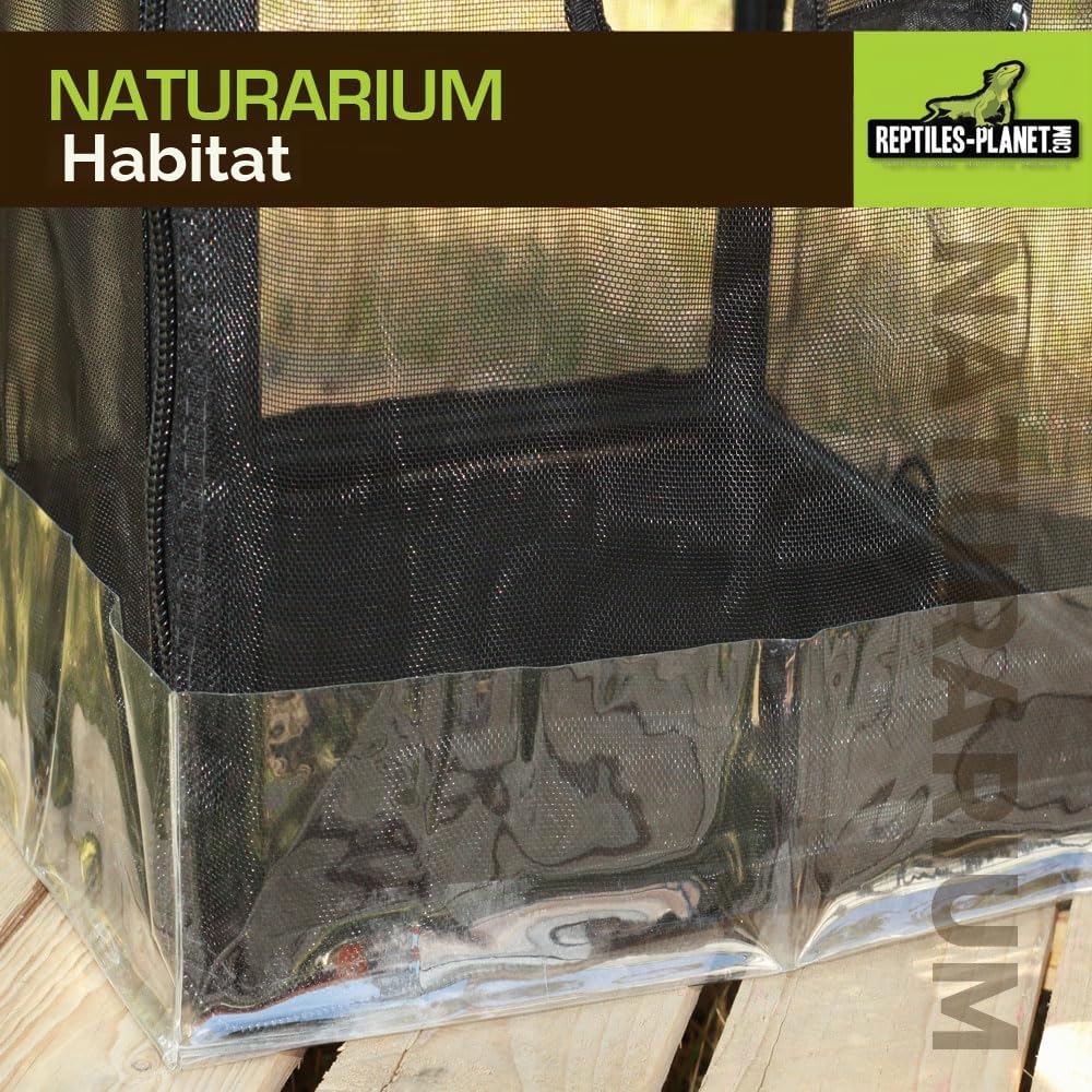 Reptiles Planet Terrarium Naturarium M 75 x 45 x 75 cm