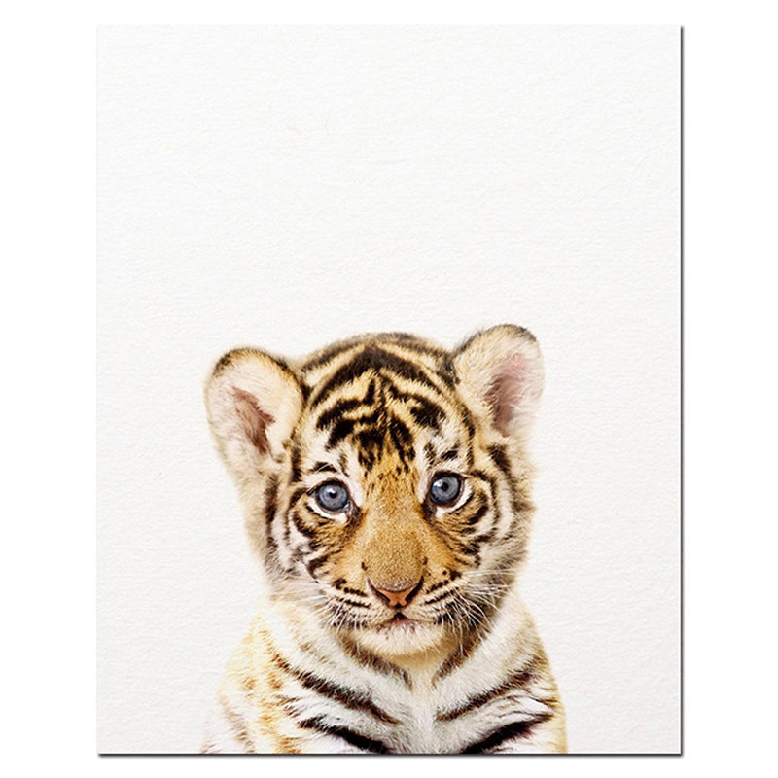 Animal bebé Lienzo Pintura Cartel Tigre león Mural Moderno Animal Pintura nórdica habitación de guardería decoración del hogar Pintura 40x50cmx3 Marco Interno