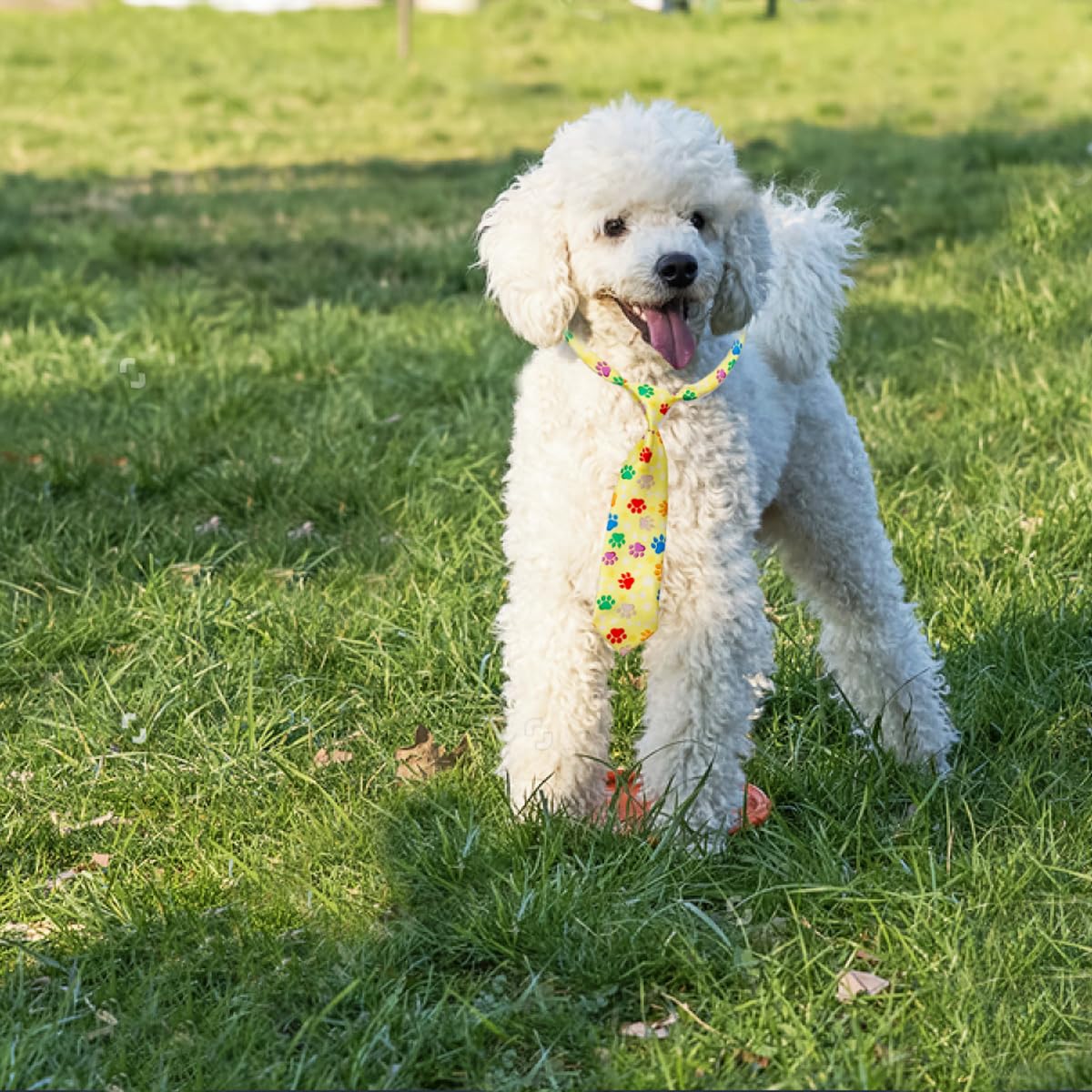 BIPY 10pcs Dog Bow Ties Adjustable Cat Bowties For Small Medium Puppy Doggy Animals Birthday Gift Party Wedding Valentine's Day Festival Pets Grooming Accessories