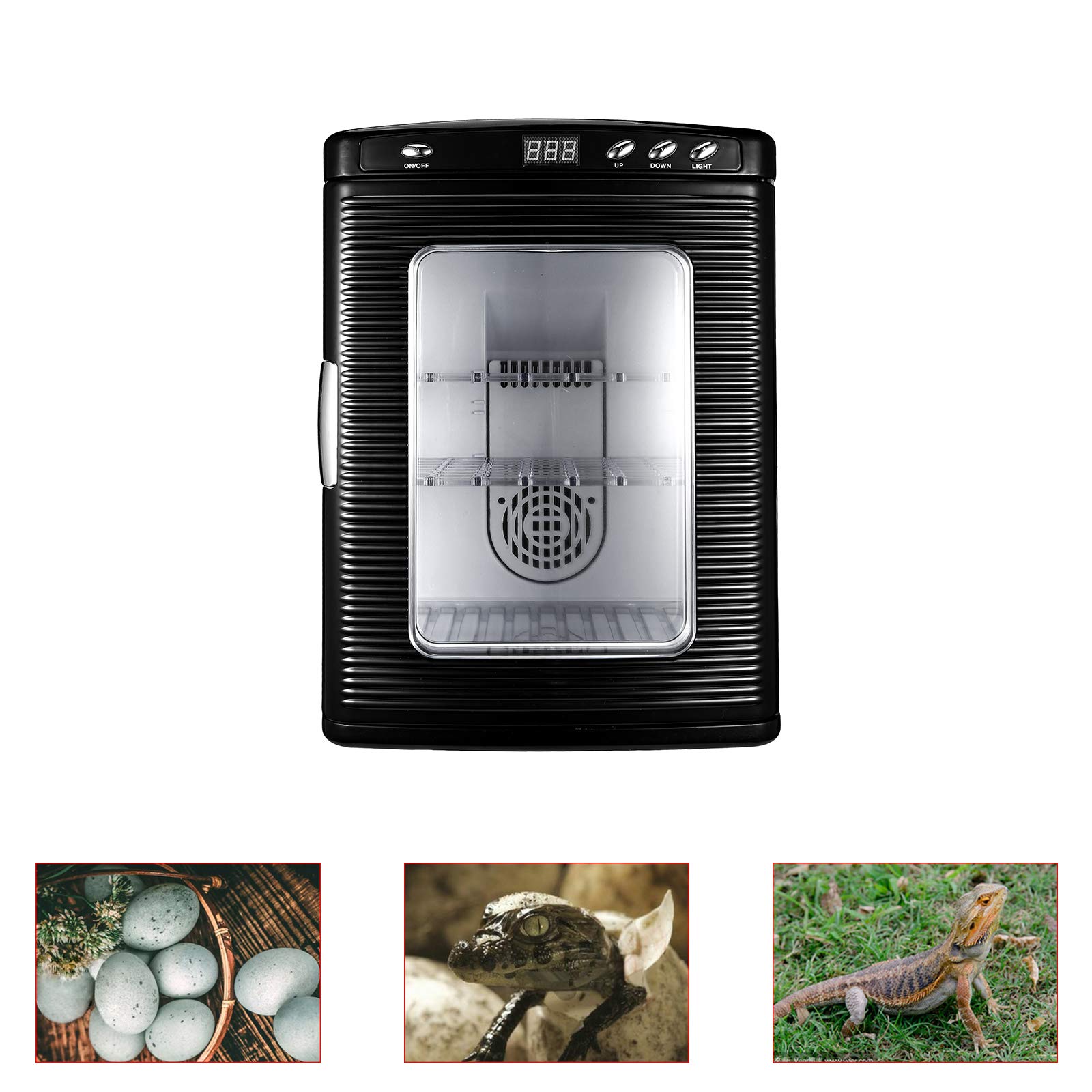 Incubadora de huevos de reptil Incubadora de huevos de reptil negro 5-60 ° C Incubadora científica Hatcher Calefacción Pantalla LED para pequeños reptiles