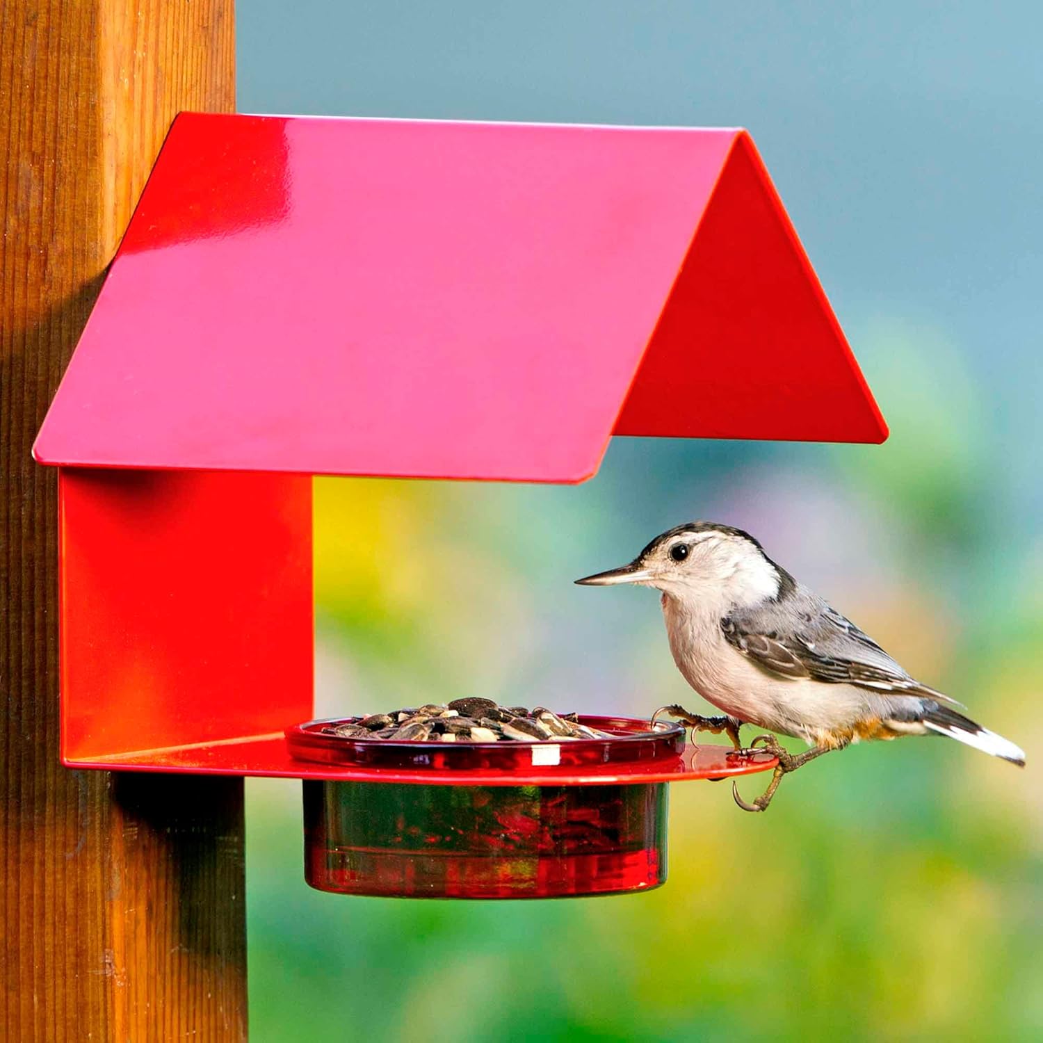 Cottage Bird Feeder for Outdoors with Recycled Glass Detachable Bowl and Interior Perch Space, Powder Coated Metal Construction, Red, 3.4 Oz