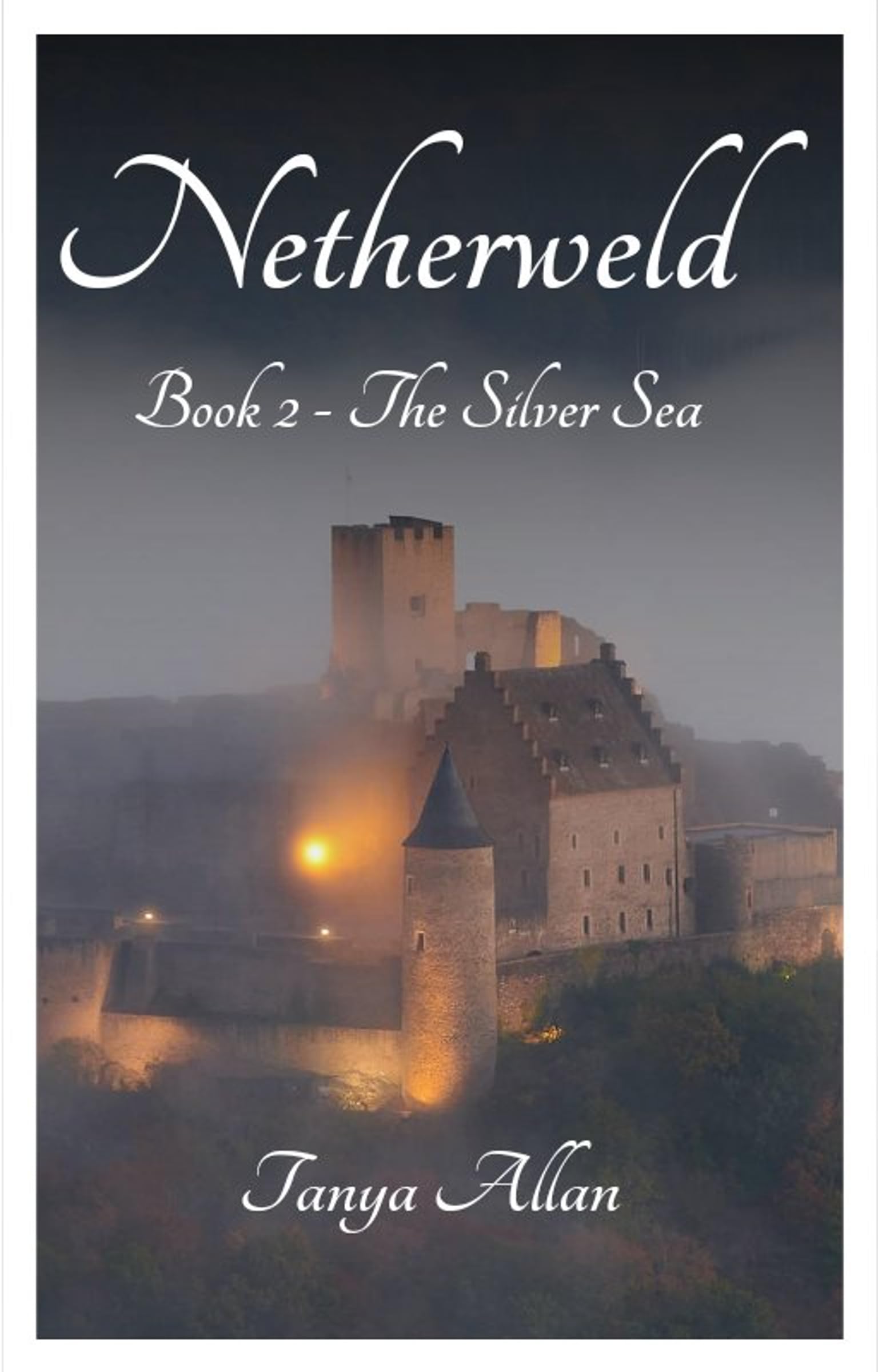 Cover of The Silver Sea