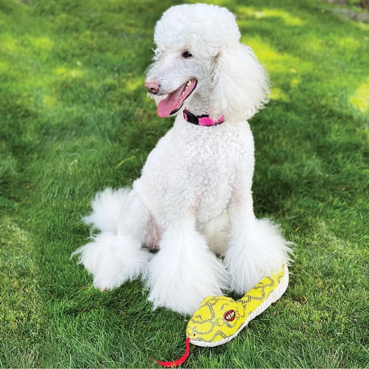 Big Dog Toy Bundles Large Breed Squeak Play Toss Tug Cuddle Chew Bulk Packs (1 Big Dog Toy Pack)