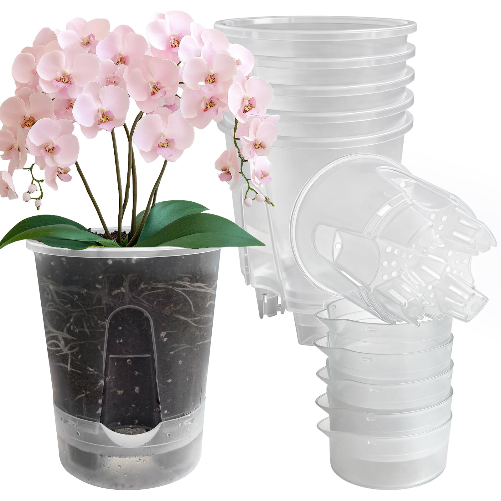 Cdd's Path 5-Pack 6 Inch Naked Root Planter