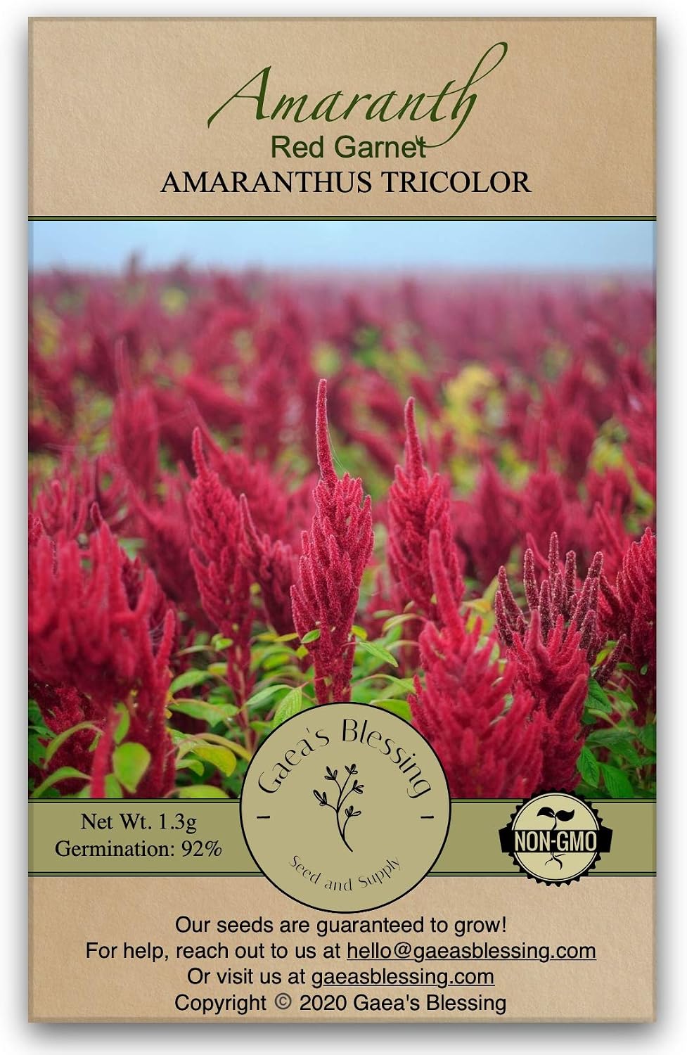Gaea's Blessing Seeds - Amaranth Seeds - Red Garnet - Non-GMO Seeds with Easy to Follow Planting Instructions - Open-Pollinated - Untreated - Heirloom - 92% Germination - Net Wt. 1.3g