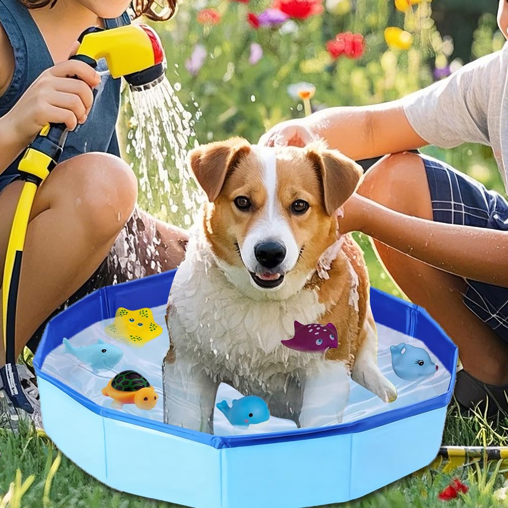 View 5