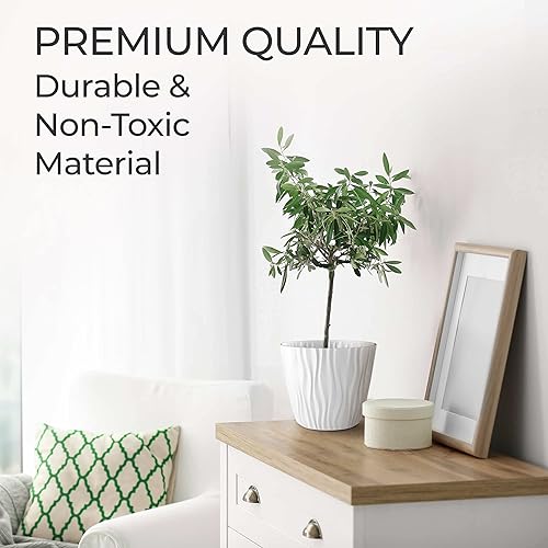 Miniatura 2 de Mueller - Juego de macetas 61 para plantas y flores, uso rudo de 6 pulgadas, elegante fabricación europea, para uso en interiores y exteriores, para