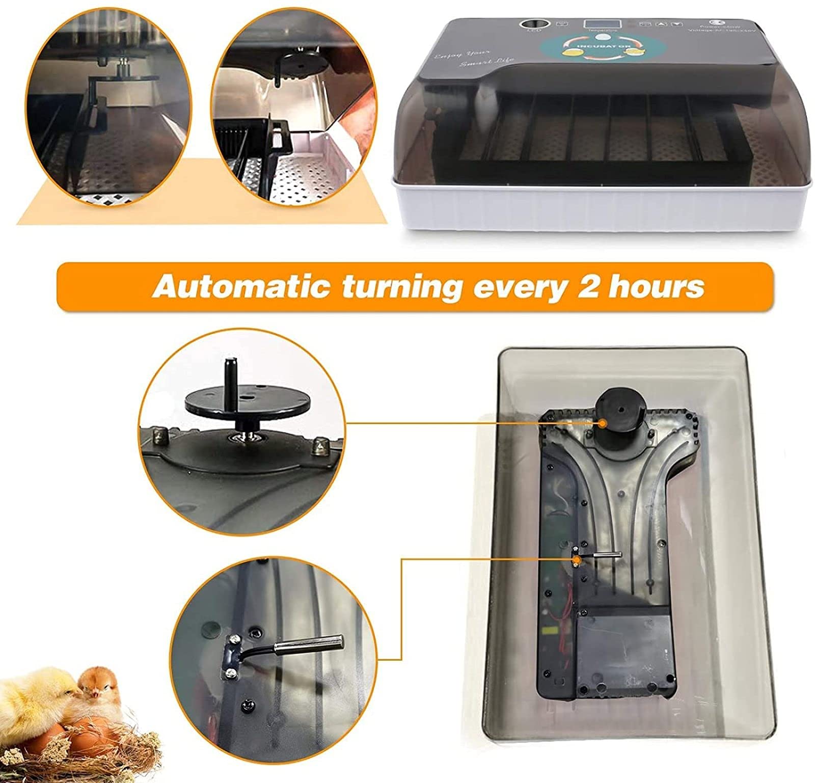 Incubadora digital de huevos completamente automática, 12 incubadoras de huevos, capacidad para incubar patos de gallina, aves de corral, paloma, codorniz, control de temperatura de humedad y