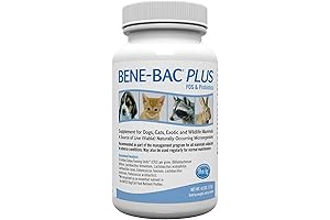 Bene-Bac Plus: Your Go-to Rabbit Antibiotic for Gut Health