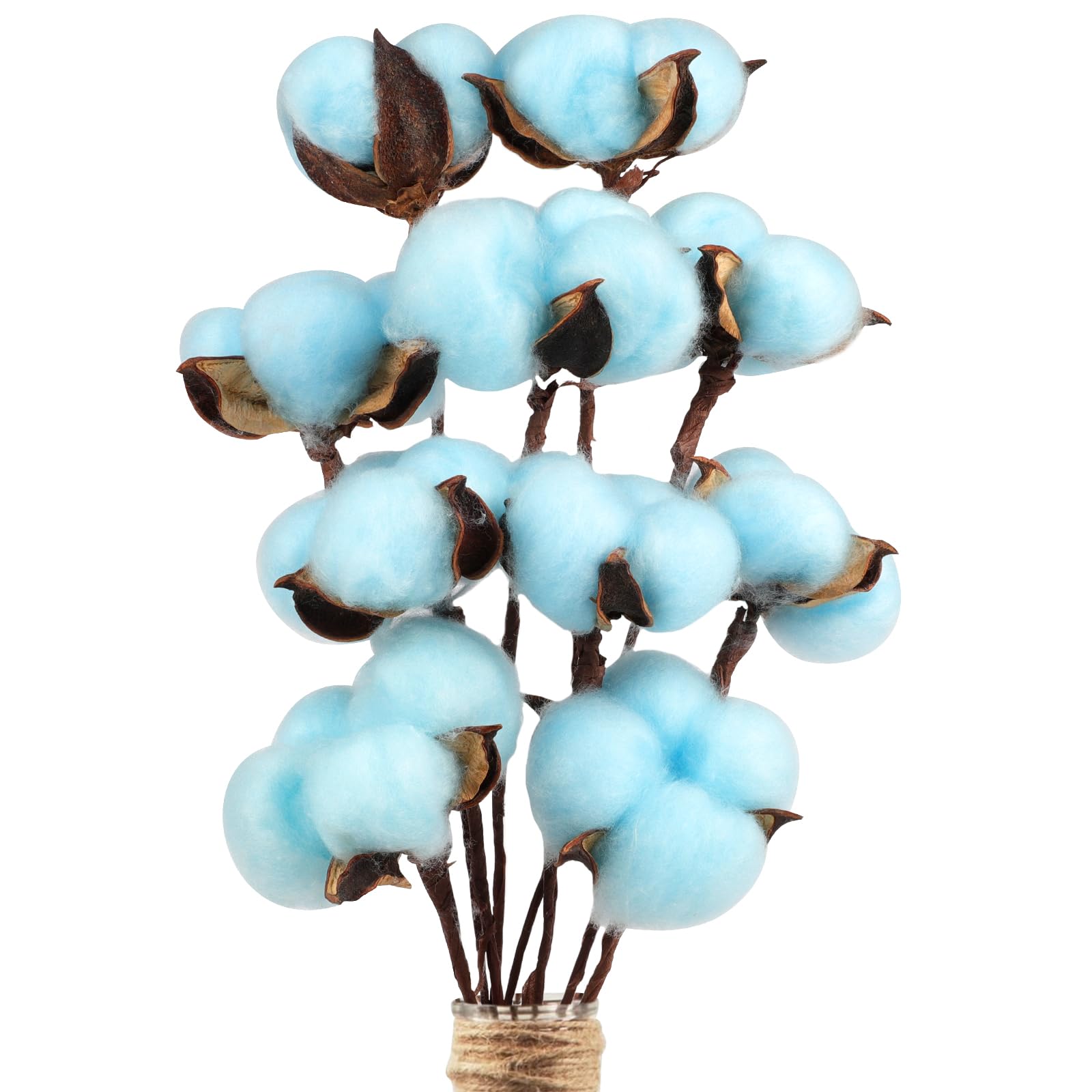 Larber 10 Stück Baumwoll Pflanze Deko Baumwolle Deko Zweige Baumwolle Trockenblumen Deko für Die Perfekte Hochzeit Blumen Arrangements Heim Decor DIY Home Party Dekoration(Blau)