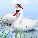 Deekin 2 Pieces Swan Decoy Pond Decoration Goose Decoys Hunting Floating Deterrent Garden Pond Decoration for Fields or Float on The Water Pool, Garden and Patio Accessories