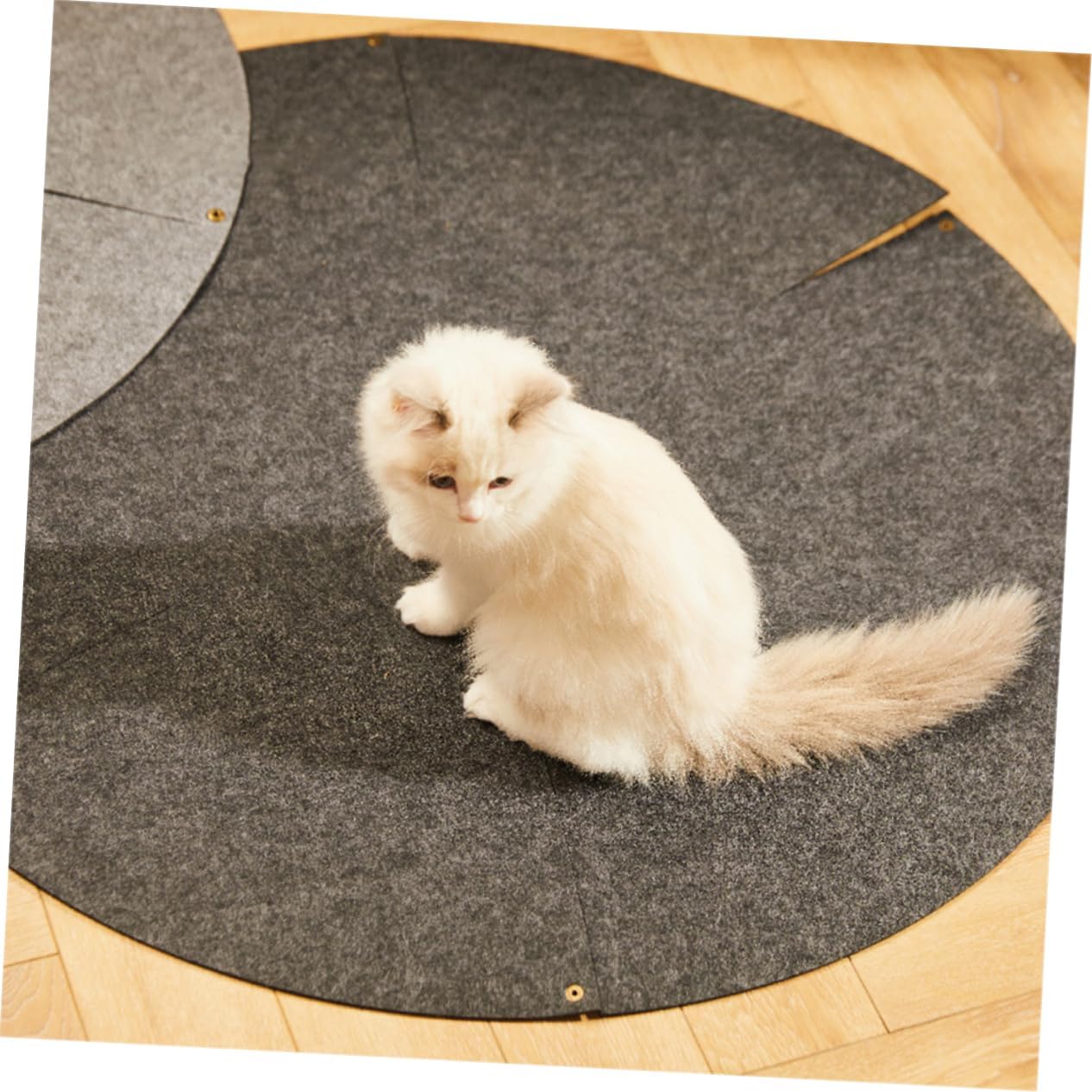 Creative Flower Petal Shaped Cat House Dark Grey Felt Nest for Cats Durable Soft Four Seasons Sleeping Bed Easy