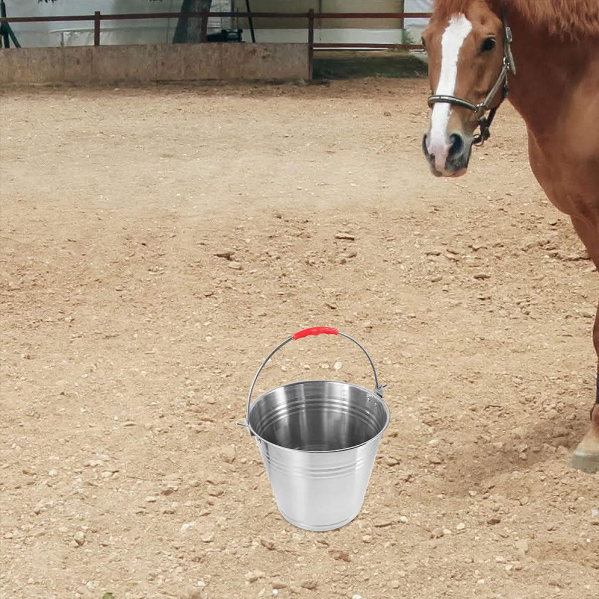 Cubo de Acero Inoxidable para Caballos 10l Asa Portátil | Plata, Fácil de Limpiar, Uso Múltiple, para Caballo y Potro, Adecuado para Agua y Alimento en Establo