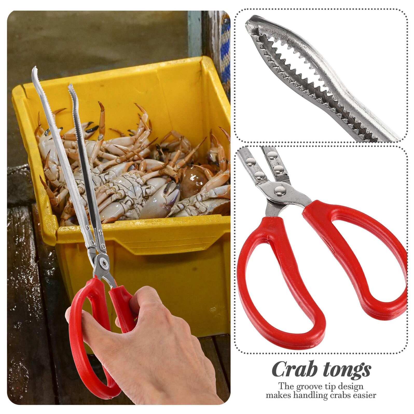 Pinzas para Pesca de Acero Inoxidable Antideslizantes y Resistentes Clip Multifunción para Atrapar Cangrejos y Capturar Peces en Acuarios y Mar