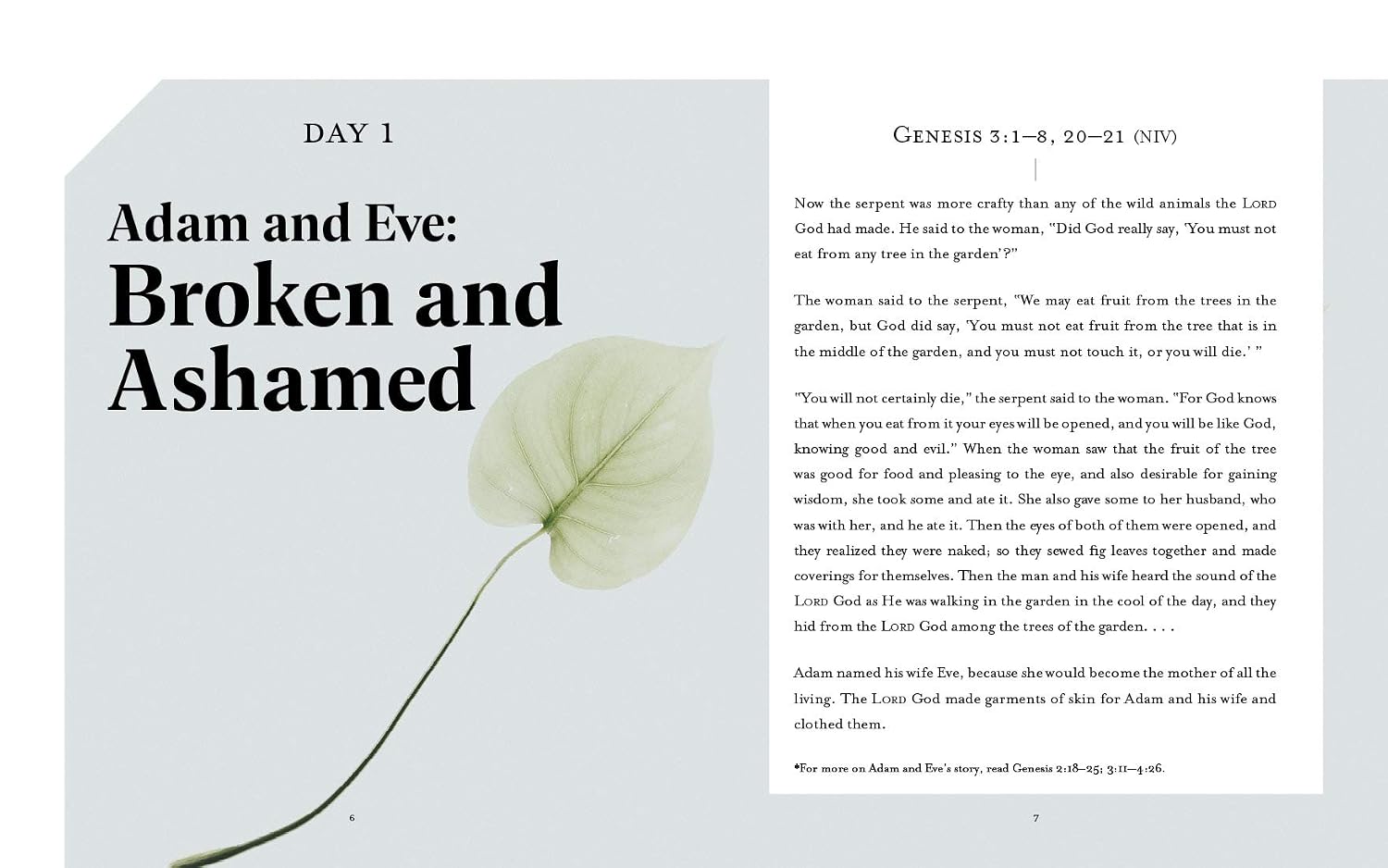 Beautifully Broken: Jesus Every Day Devotional Guide