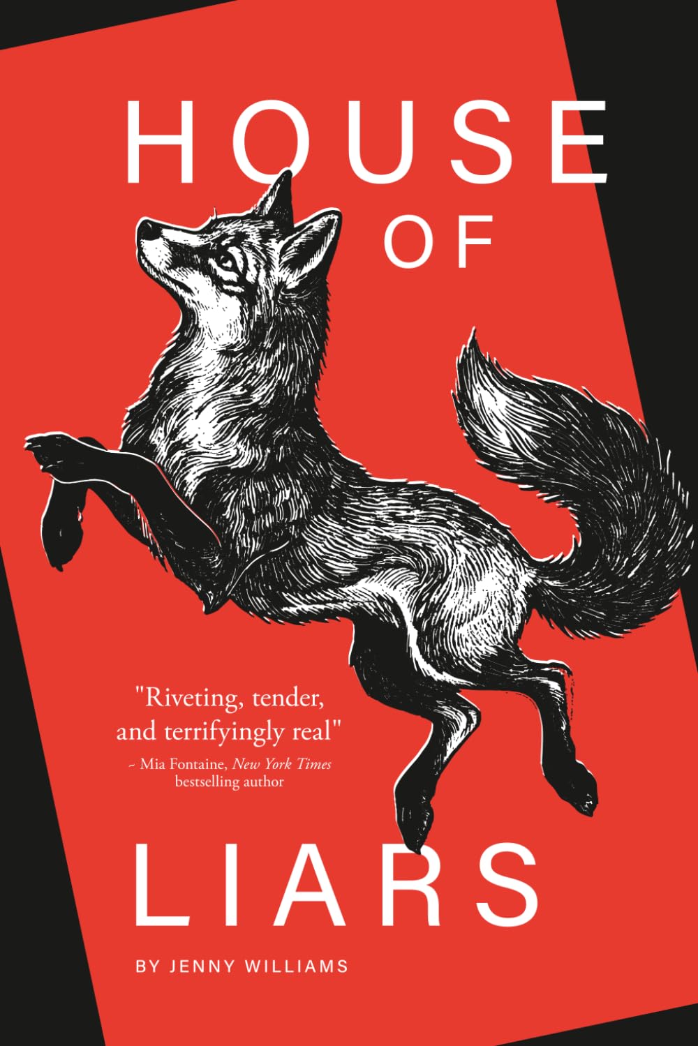 House of Liars: A Novel
