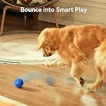 Cheerble Balle de jouets pour chien interactif intelligent, boule branlée AIR, Déplacement automatique, rebondissement et rotatoire, 3 Modes, matériel E-TPU, IPX7 Balle à roulette active étanche pour chiens moyens à grands (bleu)