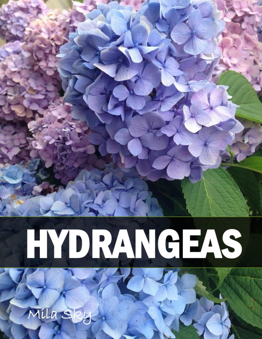Hydrangeas: A Stunning Coffee Table Collection of Flower Photography