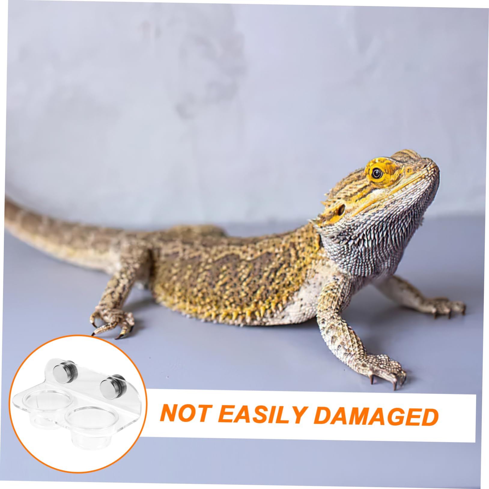 Yardwe 5 Juegos De Alimentador De Agua Magnético Terrario para Animales Alimentador De Gecko Repisa De Alimentación para Gecko Cuenco De Alimentación para Reptiles Recipientes para