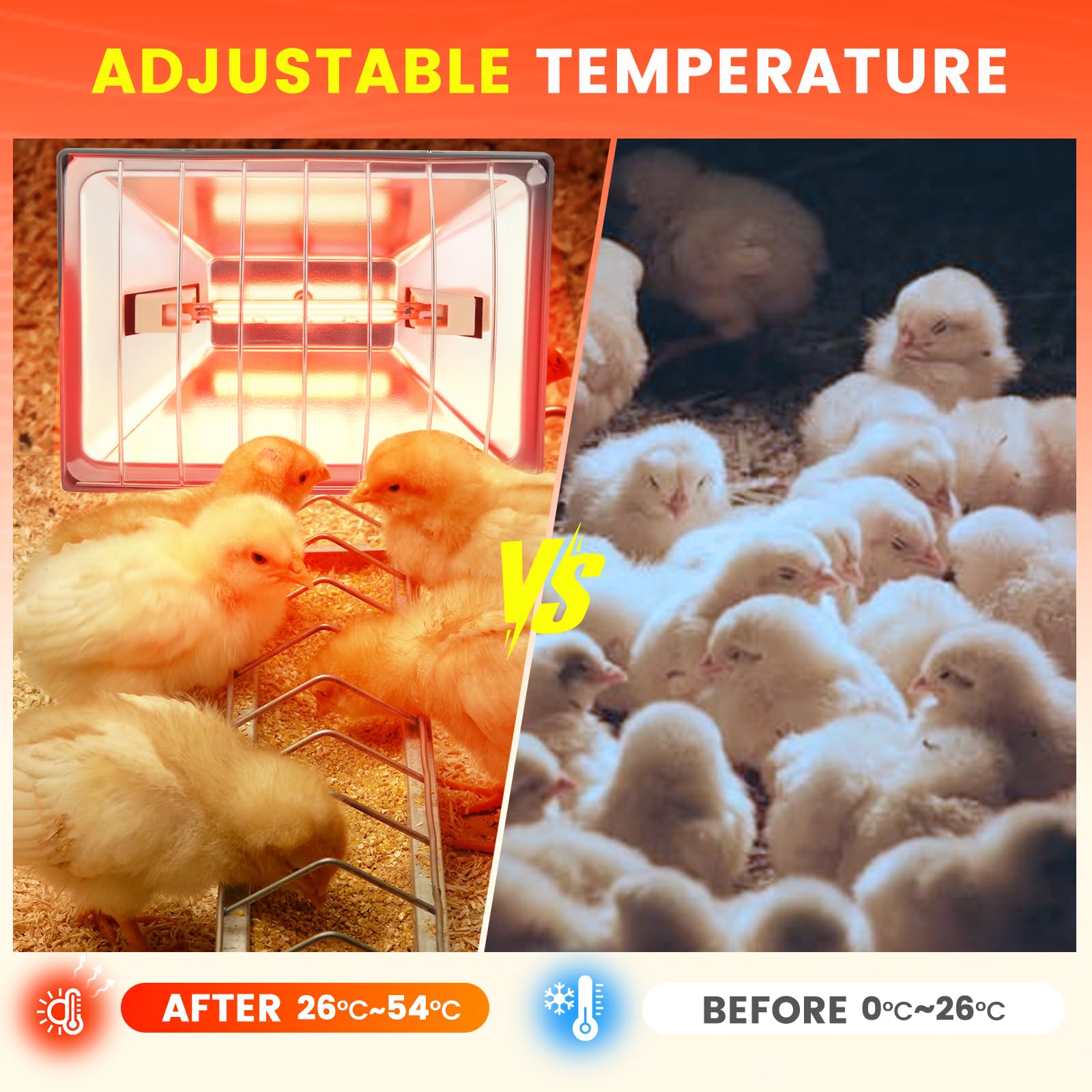 Lampe chauffante pour poulailler, 250 W, lumière rouge, avec interrupteur, câble de 1,8 m, thermostat, lampe chauffante pour poules, animaux pour poussins, porcelets, chiots, etc